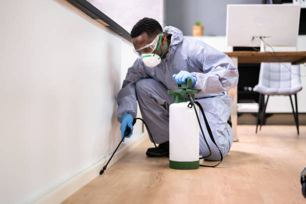 Best Pest Prevention Services  in Westminster, CO